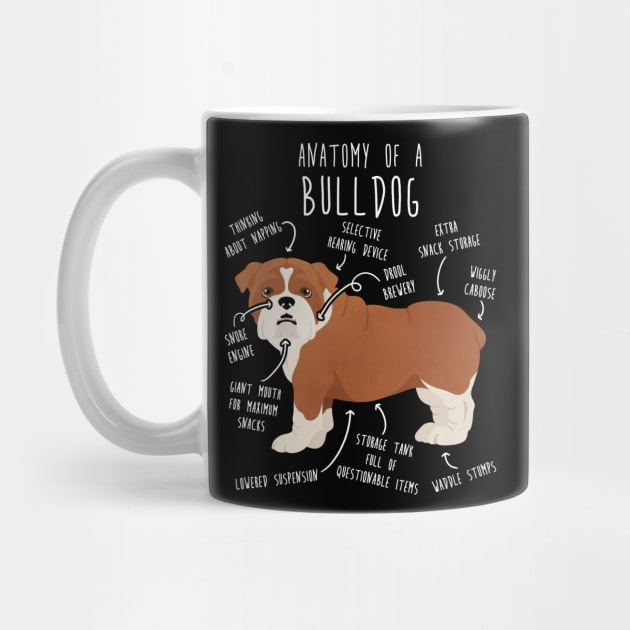 English Bulldog Red and White Dog Anatomy by Psitta